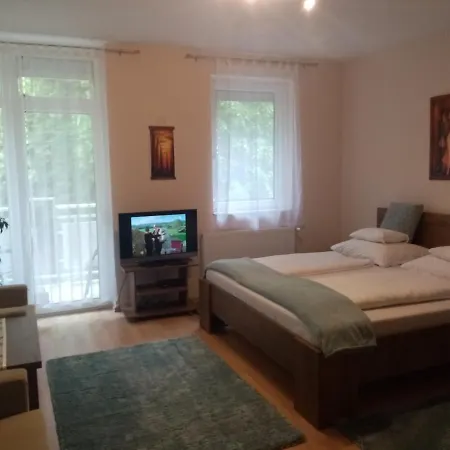 Heviz Lake Apartman Apartment